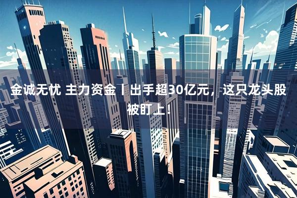 金诚无忧 主力资金丨出手超30亿元，这只龙头股被盯上！